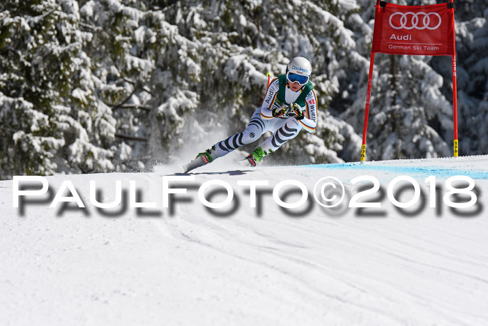 FIS, Int. Dt. Meisterschaft Abfahrt, Training, NC, NJC Damen + Herren, 22.03.2018