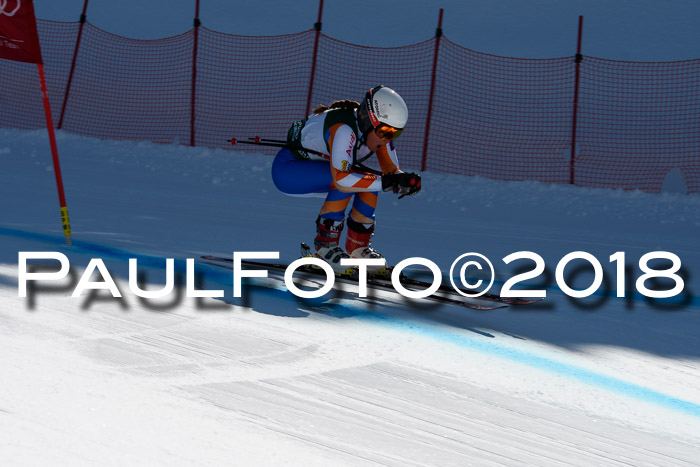 FIS, Int. Dt. Meisterschaft Abfahrt, Training, NC, NJC Damen + Herren, 22.03.2018