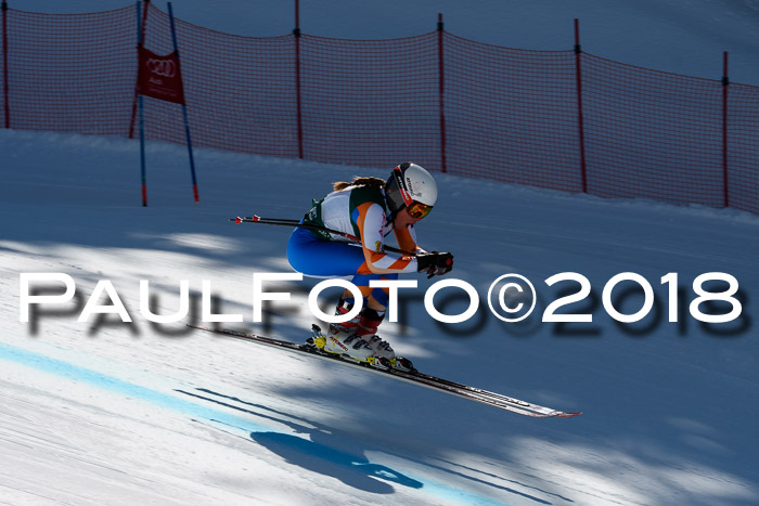 FIS, Int. Dt. Meisterschaft Abfahrt, Training, NC, NJC Damen + Herren, 22.03.2018