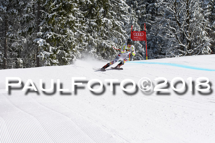 FIS, Int. Dt. Meisterschaft Abfahrt, Training, NC, NJC Damen + Herren, 22.03.2018