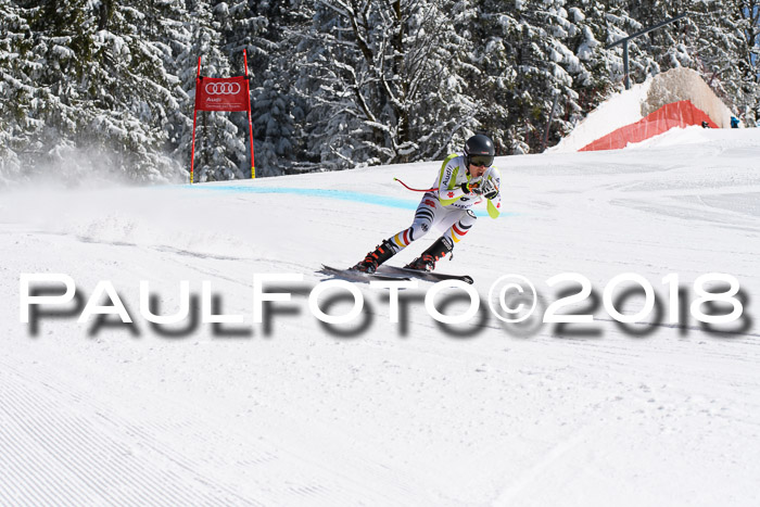 FIS, Int. Dt. Meisterschaft Abfahrt, Training, NC, NJC Damen + Herren, 22.03.2018