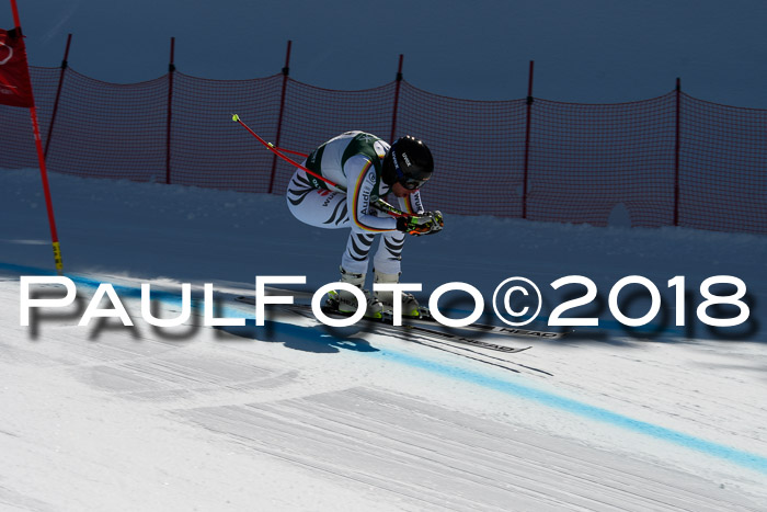 FIS, Int. Dt. Meisterschaft Abfahrt, Training, NC, NJC Damen + Herren, 22.03.2018
