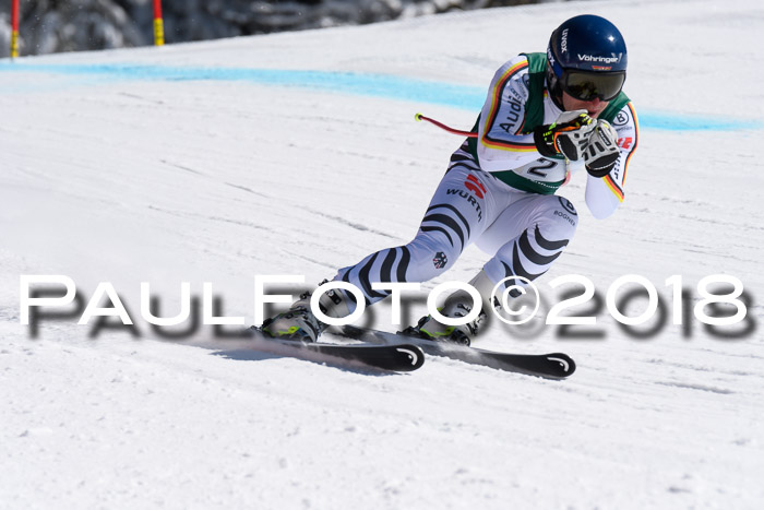 FIS, Int. Dt. Meisterschaft Abfahrt, Training, NC, NJC Damen + Herren, 22.03.2018