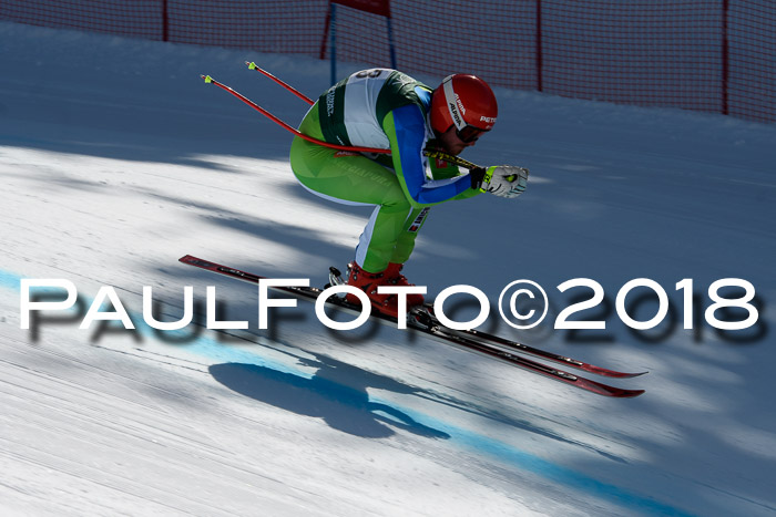 FIS, Int. Dt. Meisterschaft Abfahrt, Training, NC, NJC Damen + Herren, 22.03.2018