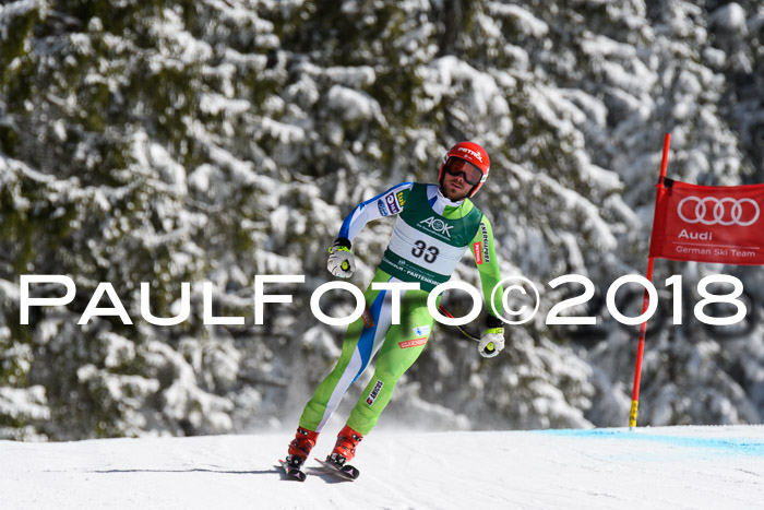 FIS, Int. Dt. Meisterschaft Abfahrt, Training, NC, NJC Damen + Herren, 22.03.2018