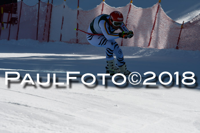 FIS, Int. Dt. Meisterschaft Abfahrt, Training, NC, NJC Damen + Herren, 22.03.2018