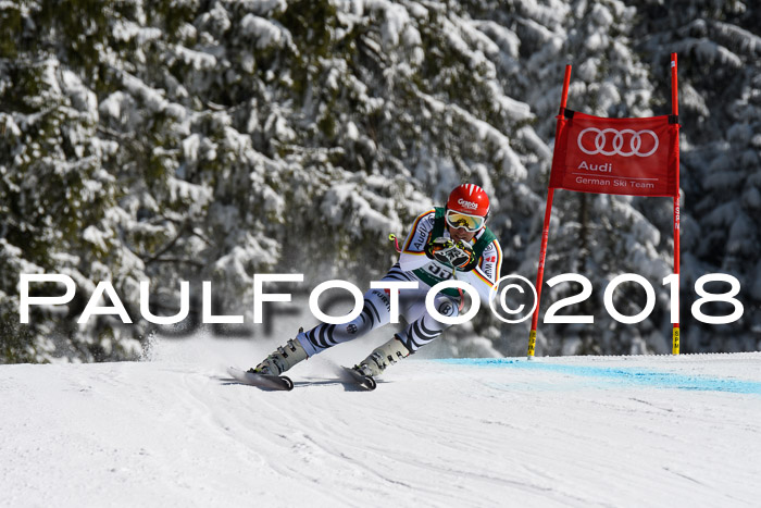 FIS, Int. Dt. Meisterschaft Abfahrt, Training, NC, NJC Damen + Herren, 22.03.2018