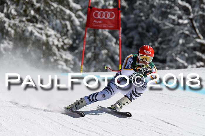 FIS, Int. Dt. Meisterschaft Abfahrt, Training, NC, NJC Damen + Herren, 22.03.2018
