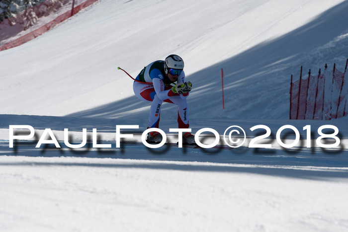 FIS, Int. Dt. Meisterschaft Abfahrt, Training, NC, NJC Damen + Herren, 22.03.2018