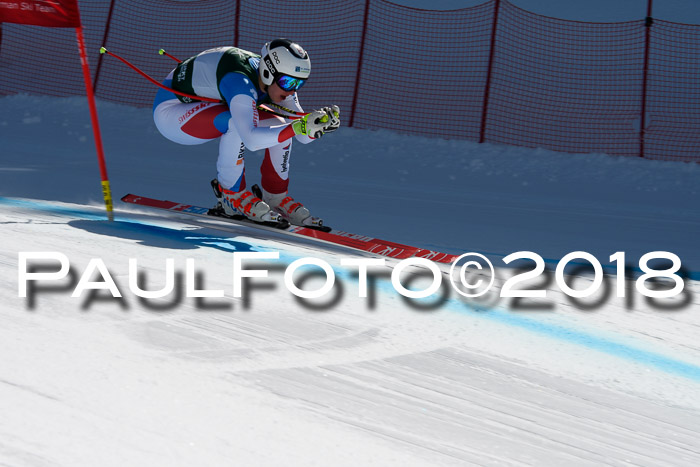FIS, Int. Dt. Meisterschaft Abfahrt, Training, NC, NJC Damen + Herren, 22.03.2018