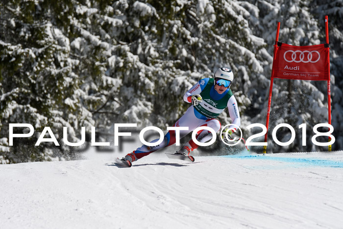 FIS, Int. Dt. Meisterschaft Abfahrt, Training, NC, NJC Damen + Herren, 22.03.2018