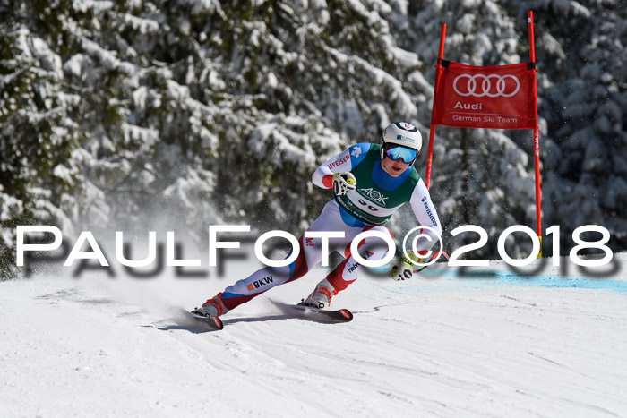 FIS, Int. Dt. Meisterschaft Abfahrt, Training, NC, NJC Damen + Herren, 22.03.2018