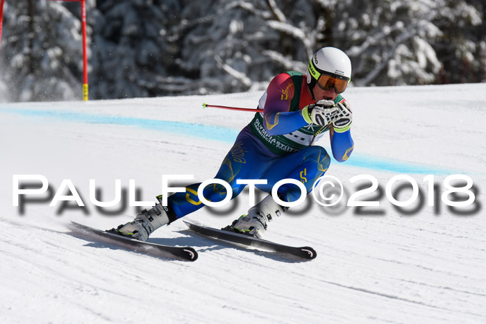 FIS, Int. Dt. Meisterschaft Abfahrt, Training, NC, NJC Damen + Herren, 22.03.2018