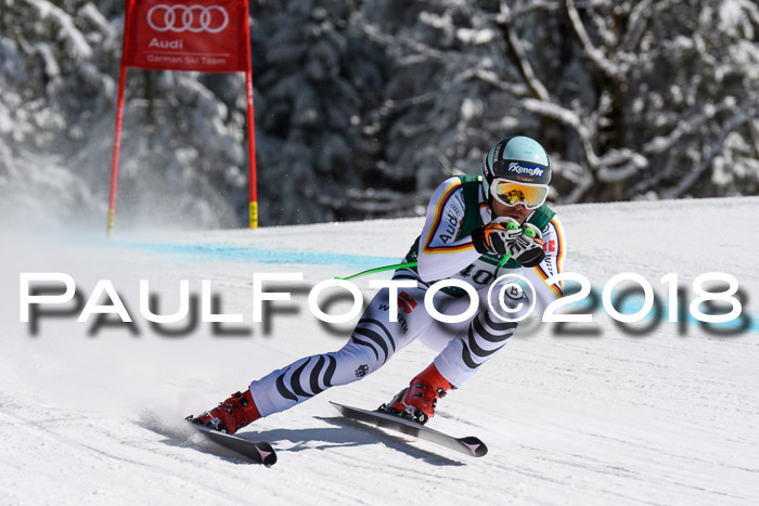 FIS, Int. Dt. Meisterschaft Abfahrt, Training, NC, NJC Damen + Herren, 22.03.2018