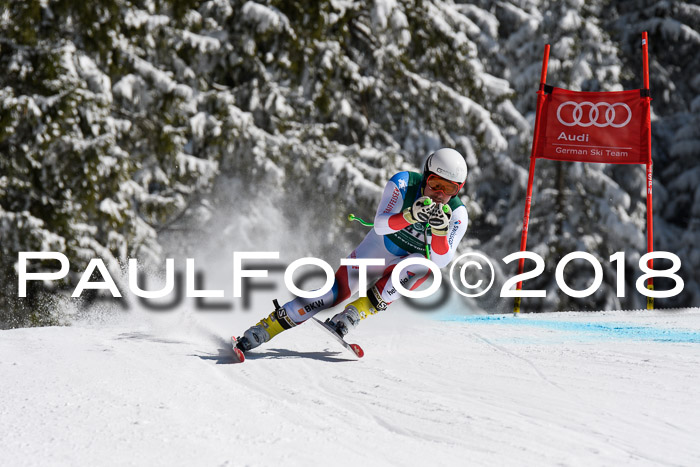 FIS, Int. Dt. Meisterschaft Abfahrt, Training, NC, NJC Damen + Herren, 22.03.2018