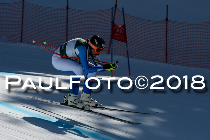 FIS, Int. Dt. Meisterschaft Abfahrt, Training, NC, NJC Damen + Herren, 22.03.2018