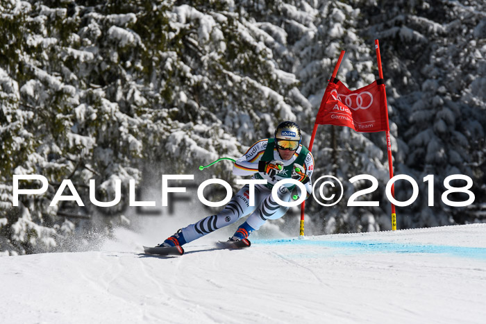 FIS, Int. Dt. Meisterschaft Abfahrt, Training, NC, NJC Damen + Herren, 22.03.2018