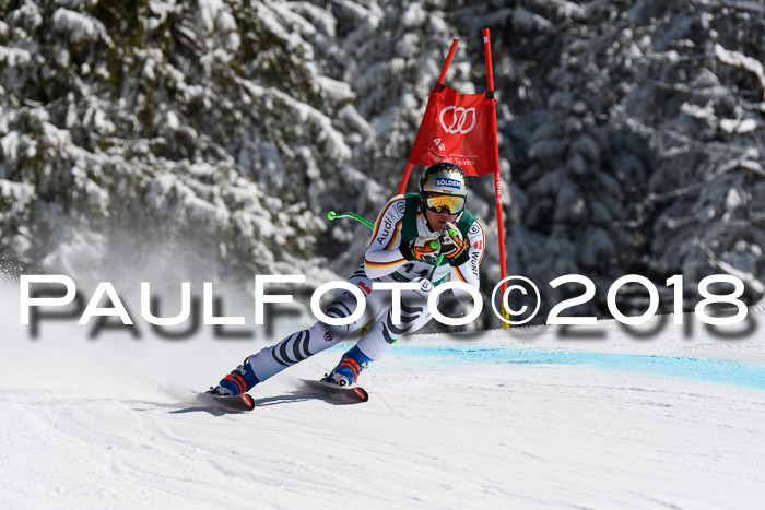 FIS, Int. Dt. Meisterschaft Abfahrt, Training, NC, NJC Damen + Herren, 22.03.2018
