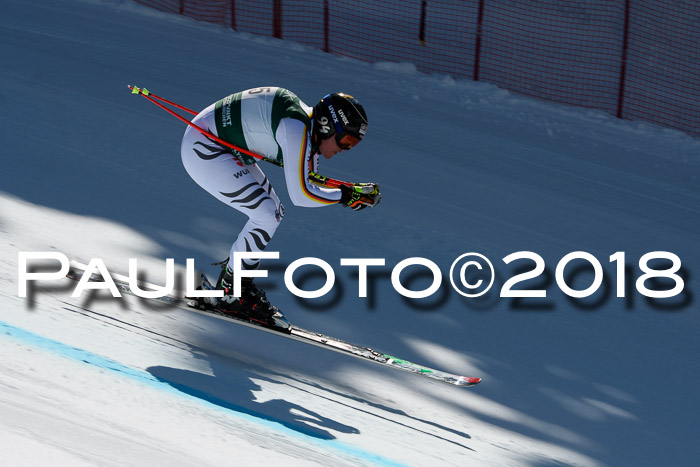 FIS, Int. Dt. Meisterschaft Abfahrt, Training, NC, NJC Damen + Herren, 22.03.2018