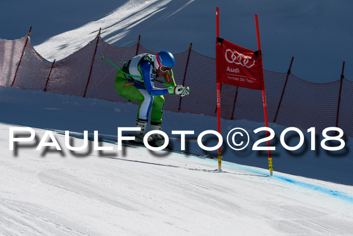 FIS, Int. Dt. Meisterschaft Abfahrt, Training, NC, NJC Damen + Herren, 22.03.2018