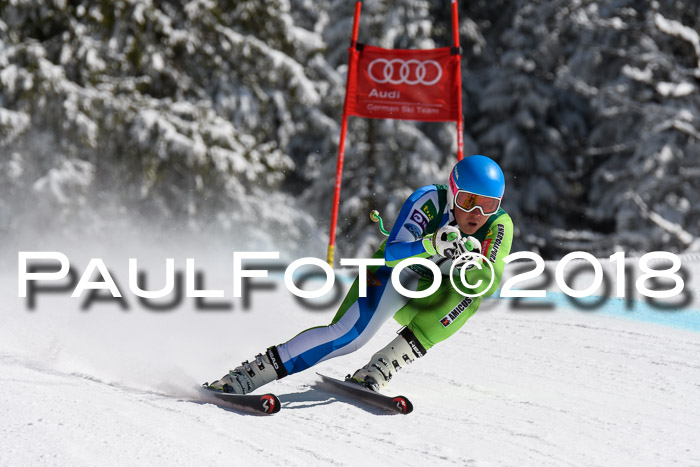 FIS, Int. Dt. Meisterschaft Abfahrt, Training, NC, NJC Damen + Herren, 22.03.2018