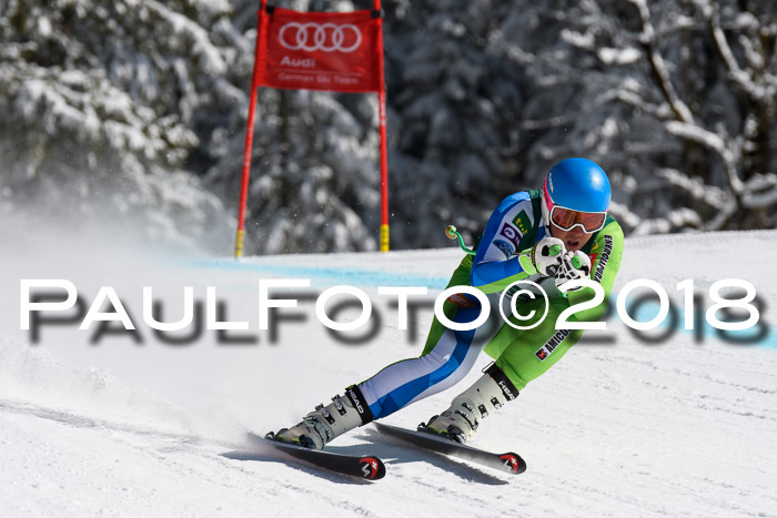 FIS, Int. Dt. Meisterschaft Abfahrt, Training, NC, NJC Damen + Herren, 22.03.2018