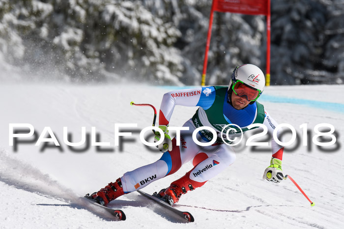 FIS, Int. Dt. Meisterschaft Abfahrt, Training, NC, NJC Damen + Herren, 22.03.2018