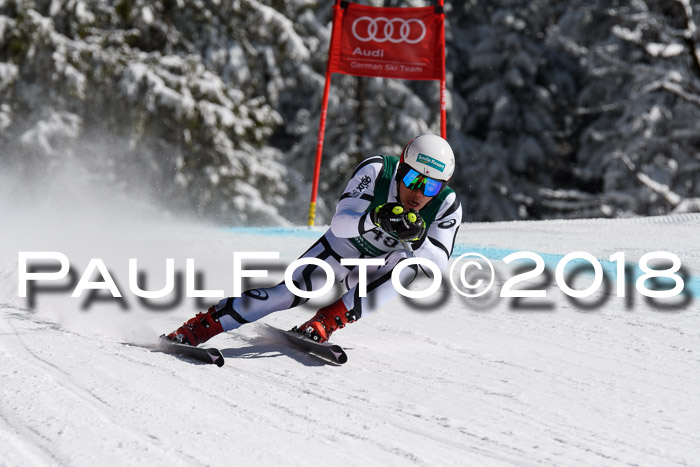FIS, Int. Dt. Meisterschaft Abfahrt, Training, NC, NJC Damen + Herren, 22.03.2018