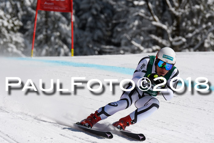 FIS, Int. Dt. Meisterschaft Abfahrt, Training, NC, NJC Damen + Herren, 22.03.2018