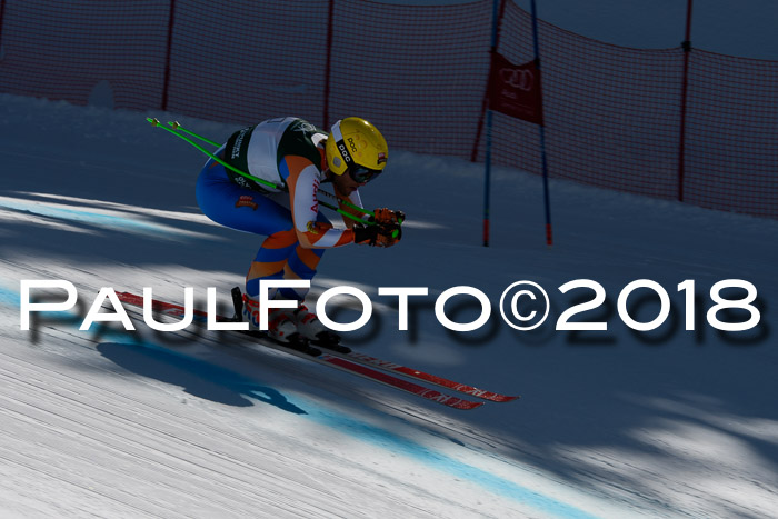 FIS, Int. Dt. Meisterschaft Abfahrt, Training, NC, NJC Damen + Herren, 22.03.2018