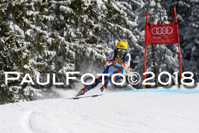 FIS, Int. Dt. Meisterschaft Abfahrt, Training, NC, NJC Damen + Herren, 22.03.2018