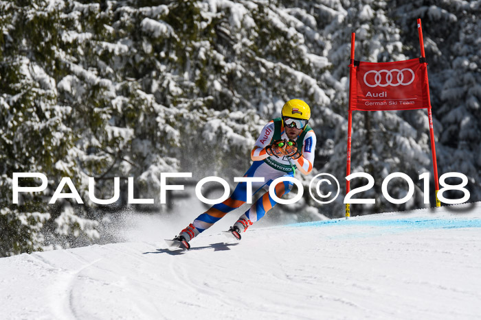 FIS, Int. Dt. Meisterschaft Abfahrt, Training, NC, NJC Damen + Herren, 22.03.2018