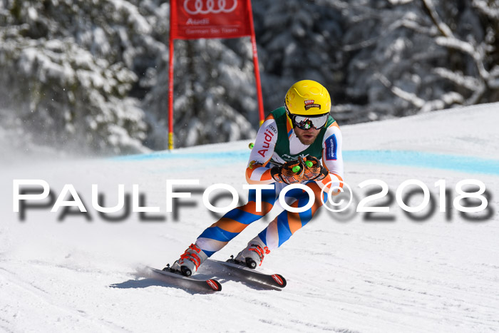 FIS, Int. Dt. Meisterschaft Abfahrt, Training, NC, NJC Damen + Herren, 22.03.2018