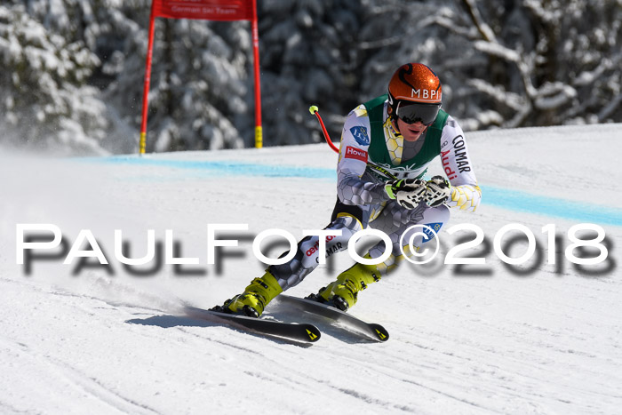 FIS, Int. Dt. Meisterschaft Abfahrt, Training, NC, NJC Damen + Herren, 22.03.2018