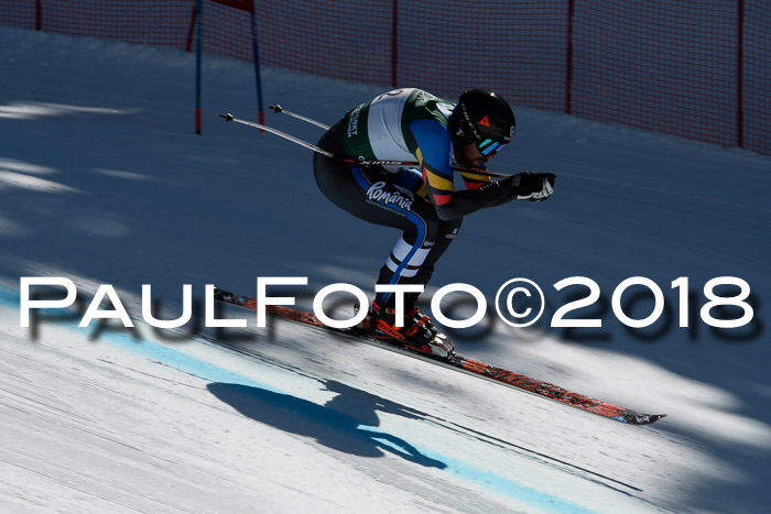 FIS, Int. Dt. Meisterschaft Abfahrt, Training, NC, NJC Damen + Herren, 22.03.2018