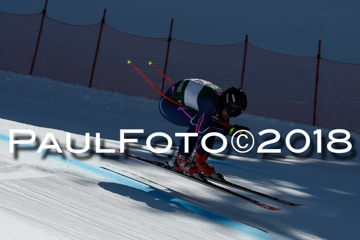 FIS, Int. Dt. Meisterschaft Abfahrt, Training, NC, NJC Damen + Herren, 22.03.2018