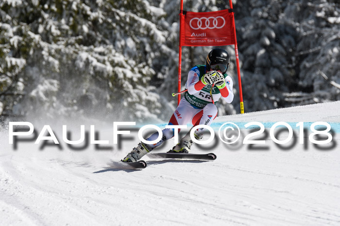 FIS, Int. Dt. Meisterschaft Abfahrt, Training, NC, NJC Damen + Herren, 22.03.2018