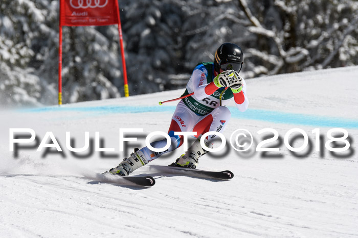 FIS, Int. Dt. Meisterschaft Abfahrt, Training, NC, NJC Damen + Herren, 22.03.2018