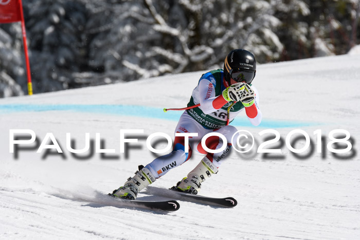 FIS, Int. Dt. Meisterschaft Abfahrt, Training, NC, NJC Damen + Herren, 22.03.2018