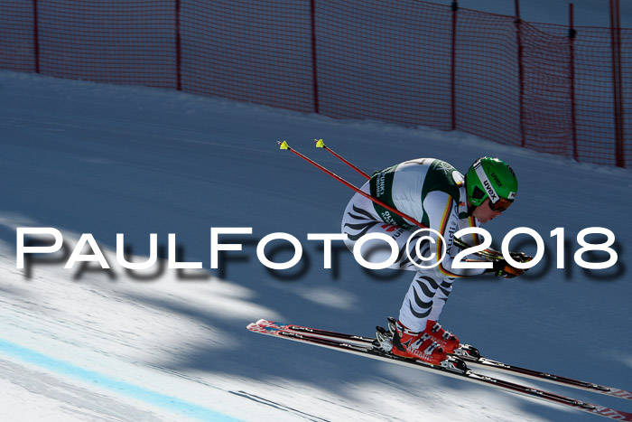 FIS, Int. Dt. Meisterschaft Abfahrt, Training, NC, NJC Damen + Herren, 22.03.2018