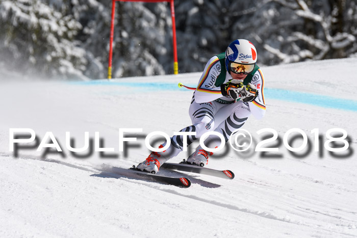 FIS, Int. Dt. Meisterschaft Abfahrt, Training, NC, NJC Damen + Herren, 22.03.2018