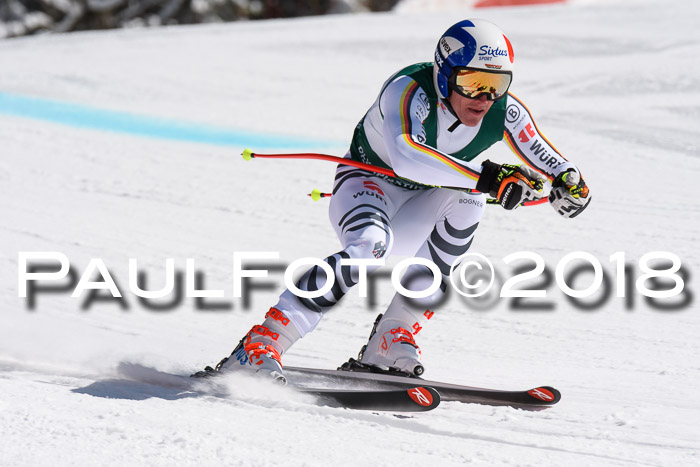 FIS, Int. Dt. Meisterschaft Abfahrt, Training, NC, NJC Damen + Herren, 22.03.2018