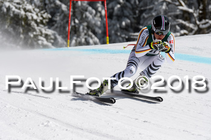 FIS, Int. Dt. Meisterschaft Abfahrt, Training, NC, NJC Damen + Herren, 22.03.2018