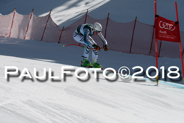 FIS, Int. Dt. Meisterschaft Abfahrt, Training, NC, NJC Damen + Herren, 22.03.2018
