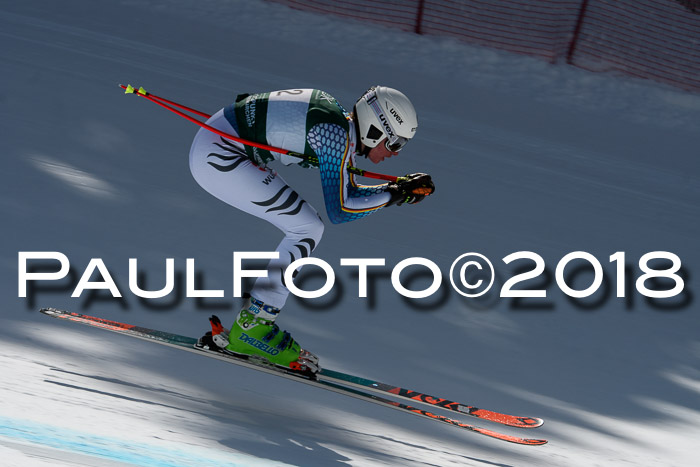 FIS, Int. Dt. Meisterschaft Abfahrt, Training, NC, NJC Damen + Herren, 22.03.2018