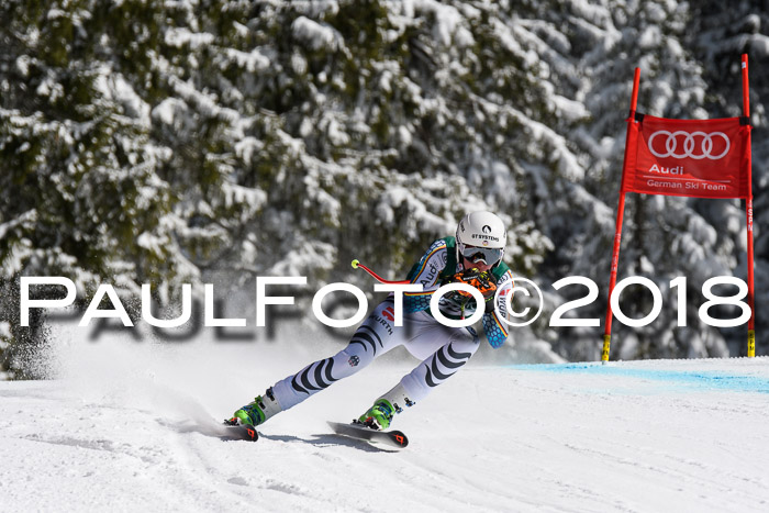 FIS, Int. Dt. Meisterschaft Abfahrt, Training, NC, NJC Damen + Herren, 22.03.2018