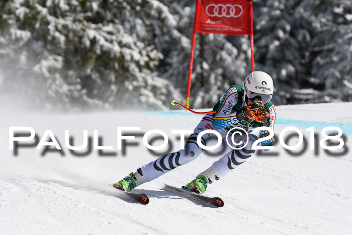 FIS, Int. Dt. Meisterschaft Abfahrt, Training, NC, NJC Damen + Herren, 22.03.2018