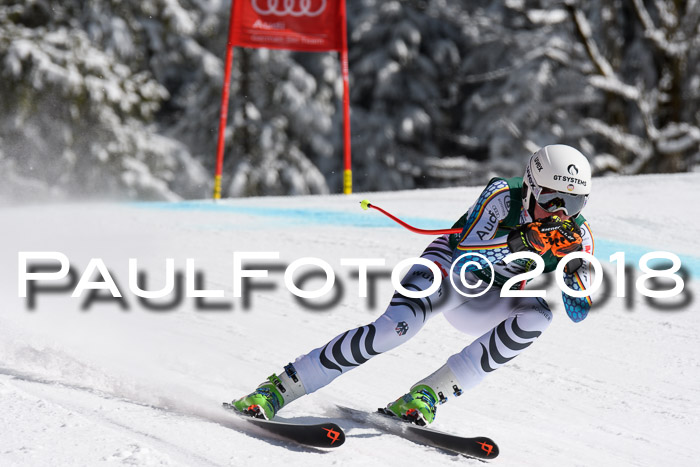 FIS, Int. Dt. Meisterschaft Abfahrt, Training, NC, NJC Damen + Herren, 22.03.2018