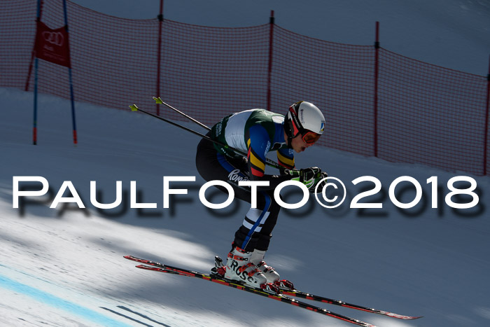 FIS, Int. Dt. Meisterschaft Abfahrt, Training, NC, NJC Damen + Herren, 22.03.2018