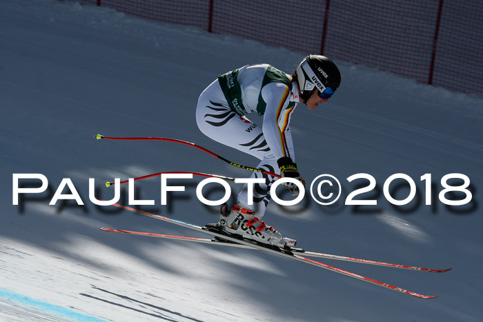 FIS, Int. Dt. Meisterschaft Abfahrt, Training, NC, NJC Damen + Herren, 22.03.2018